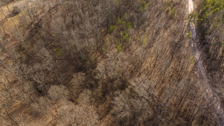 Offering #1 - Wooded Building Site for Sale at Auction - image 4