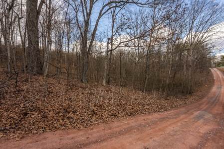 Offering #1 - Wooded Building Site for Sale at Auction - image 8