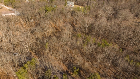 Offering #1 - Wooded Building Site for Sale at Auction - image 5