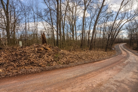Offering #1 - Wooded Building Site for Sale at Auction - image 9