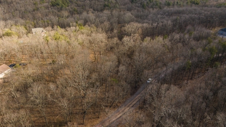 Offering #1 - Wooded Building Site for Sale at Auction - image 2