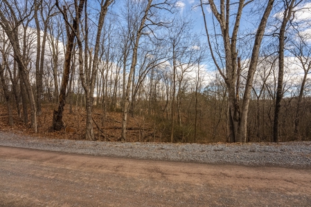 Offering #1 - Wooded Building Site for Sale at Auction - image 11