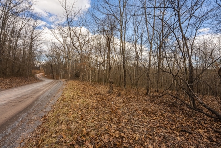 Offering #1 - Wooded Building Site for Sale at Auction - image 13