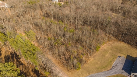 Offering #2 - Building Site in Cross Junction VA - image 3