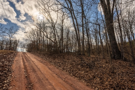 Offering #2 - Building Site in Cross Junction VA - image 8