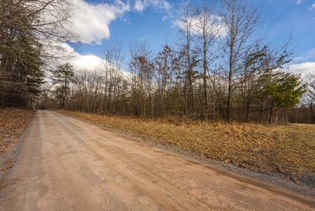 Offering #2 - Building Site in Cross Junction VA - image 13