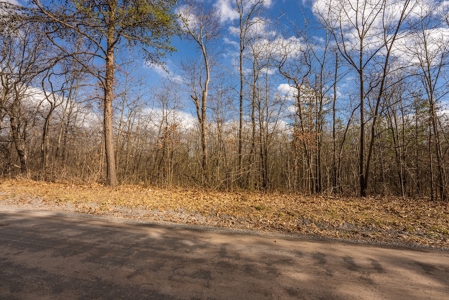 Offering #2 - Building Site in Cross Junction VA - image 16