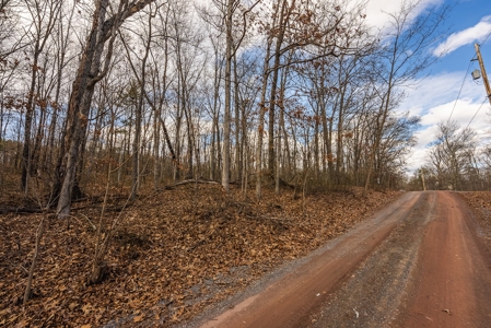 Offering #2 - Building Site in Cross Junction VA - image 6