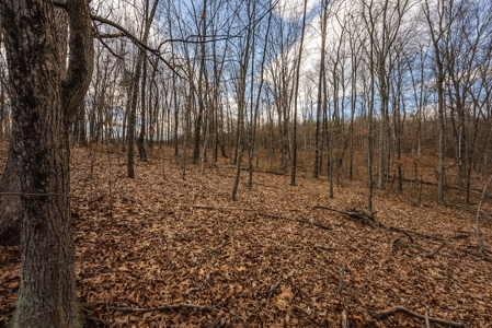 Offering #2 - Building Site in Cross Junction VA - image 10