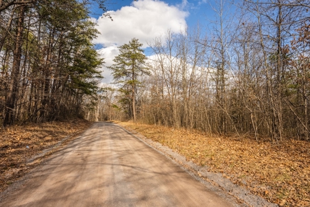 Offering #2 - Building Site in Cross Junction VA - image 15