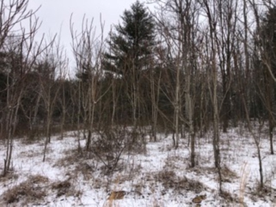 Country Home for Sale in Floyd VA - image 14