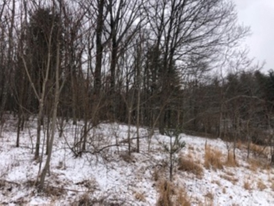 Country Home for Sale in Floyd VA - image 13