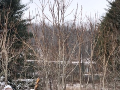 Country Home for Sale in Floyd VA - image 11