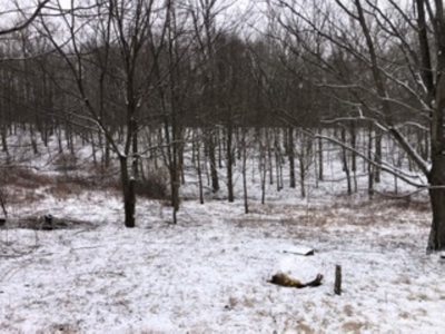 Country Home for Sale in Floyd VA - image 23