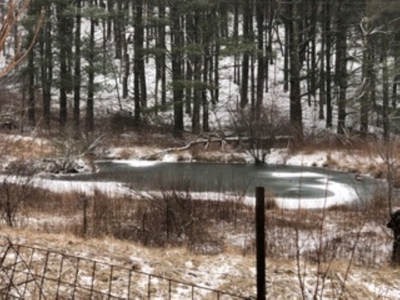 Country Home for Sale in Floyd VA - image 16