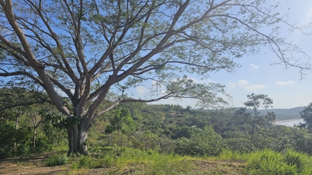 Los Balsos Residences in Playa Venao Lote #10 - image 3