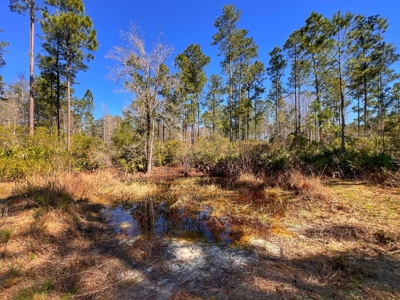 24 Acres In Cedar Key, FL For Sale - image 17