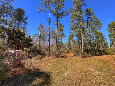24 Acres In Cedar Key, FL For Sale - image 13