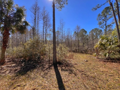 24 Acres In Cedar Key, FL For Sale - image 9