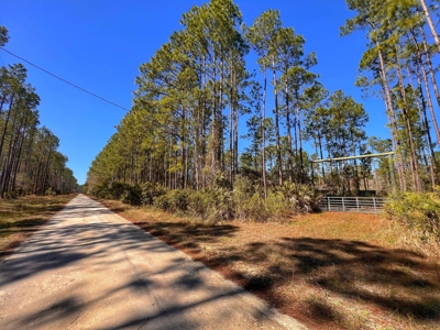 24 Acres In Cedar Key, FL For Sale - image 3