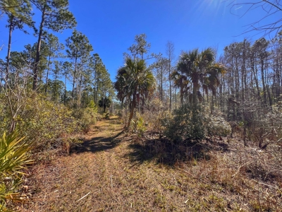 24 Acres In Cedar Key, FL For Sale - image 15