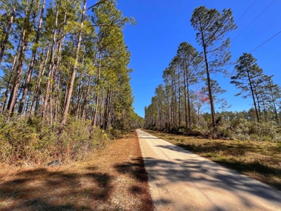 24 Acres In Cedar Key, FL For Sale - image 12