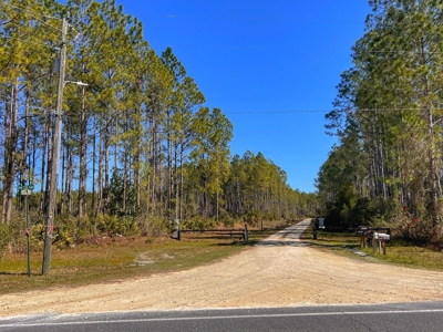 24 Acres In Cedar Key, FL For Sale - image 10