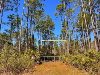 24 Acres In Cedar Key, FL For Sale - image 1