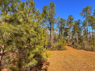 24 Acres In Cedar Key, FL For Sale - image 6