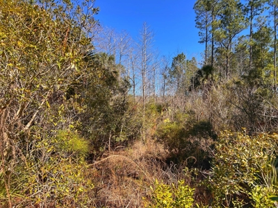 24 Acres In Cedar Key, FL For Sale - image 11