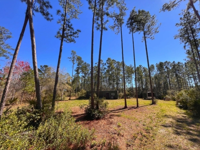 24 Acres In Cedar Key, FL For Sale - image 2
