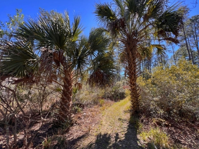 24 Acres In Cedar Key, FL For Sale - image 18