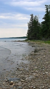Lake Huron Waterfront Property – 40 Acres Cheboygan MI - image 5