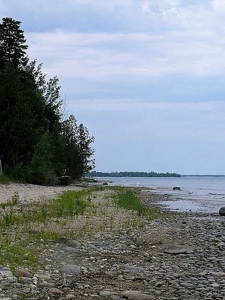 Lake Huron Waterfront Property – 40 Acres Cheboygan MI - image 6