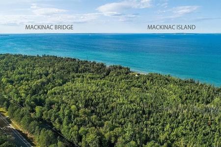 Lake Huron Waterfront Property – 40 Acres Cheboygan MI - image 19