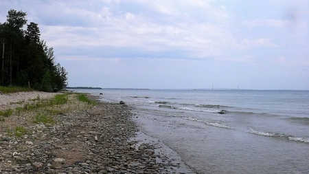 Lake Huron Waterfront Property – 40 Acres Cheboygan MI - image 4