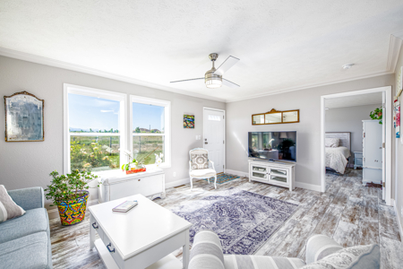 Colorado Country Home on Irrigated Acreage - image 11