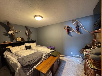 Lakefront Property w/ Shouse For Sale on Oak Lake Kerrick MN - image 8