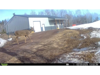 Lakefront Property w/ Shouse For Sale on Oak Lake Kerrick MN - image 16