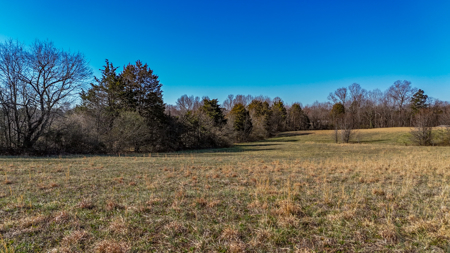11+ Acres For Sale at Moss Lake - Kings Mountain NC - image 12