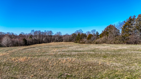 11+ Acres For Sale at Moss Lake - Kings Mountain NC - image 13