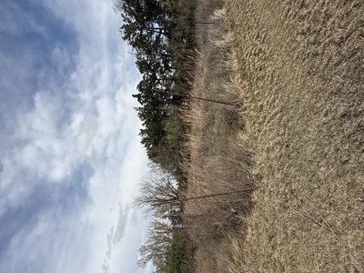 Home For Sale in Coldwater, Kansas - image 4