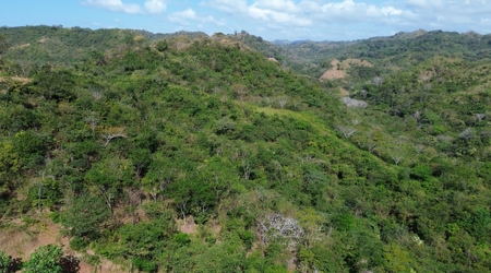 Los Balsos Residences in Playa Venao Lote #12 - image 5