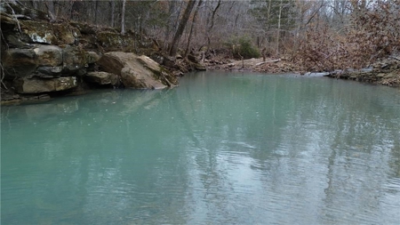 LOG Cabin Country Home on 133.50 Wildlife Acres For Sale - image 37