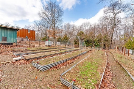 LOG Cabin Country Home on 133.50 Wildlife Acres For Sale - image 49