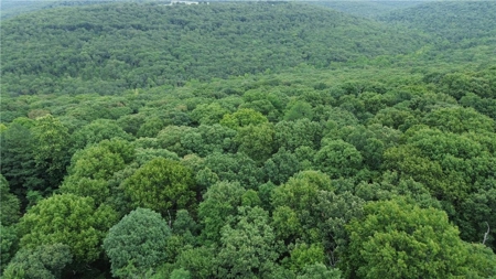 106 Ac Wooded Hunting or Building Land with Pond & Creek For Sale - image 15