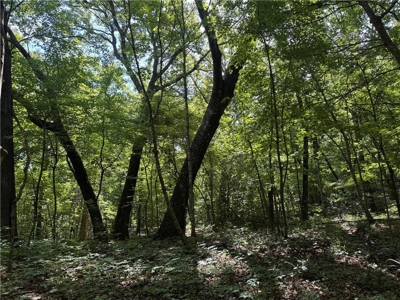106 Ac Wooded Hunting or Building Land with Pond & Creek For Sale - image 22