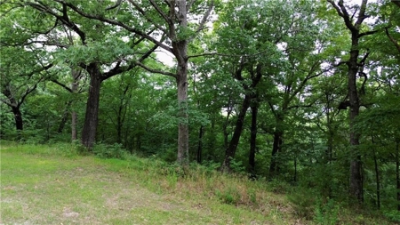 LOG Cabin Country Home on 133.50 Wildlife Acres For Sale - image 42