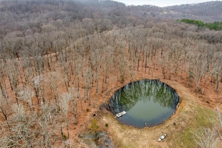 LOG Cabin Country Home on 133.50 Wildlife Acres For Sale - image 36