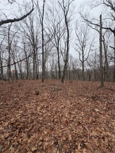 106 Ac Wooded Hunting or Building Land with Pond & Creek For Sale - image 10